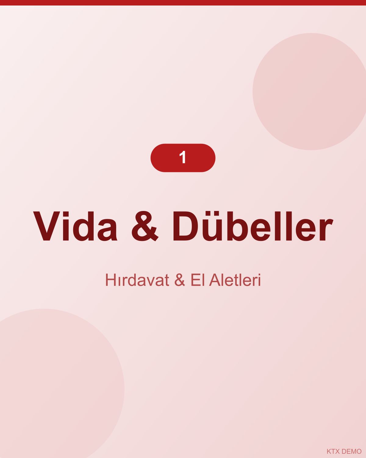 Endüstriyel Titanyum Vida Seti 1