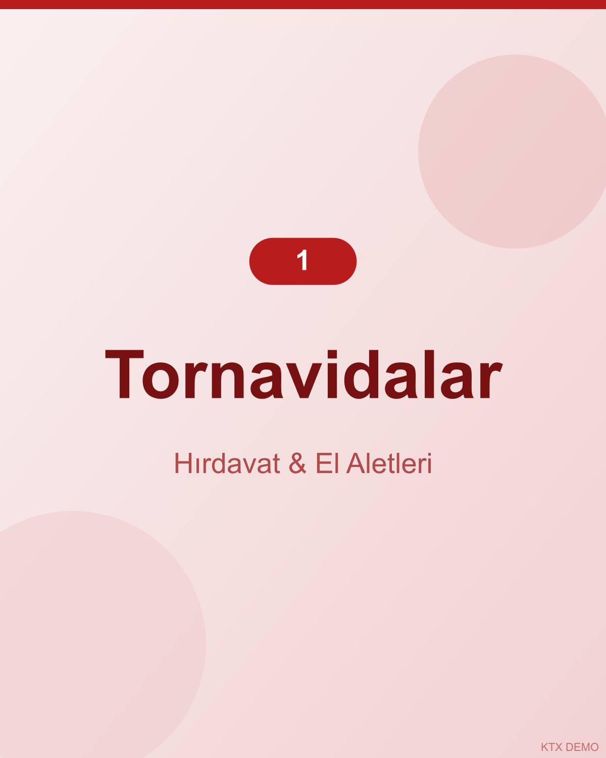 Endüstriyel Titanyum Tornavida Seti 1