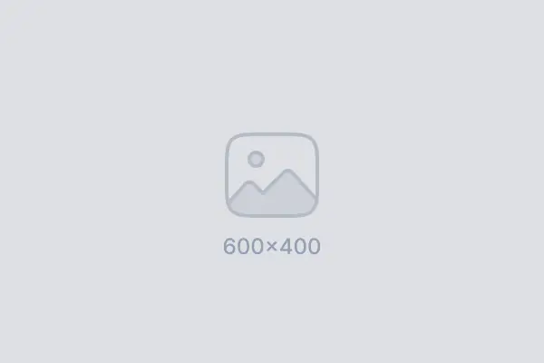 Premium Antrasit SPC Panel 1